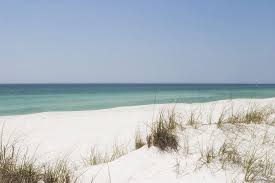 Sea Oats And Sand Dunes In Panama City Beach Florida Lead To Beautiful Vacation Days Www Sunspotrea Panama City Beach Fl Panama City Beach Panama City Panama