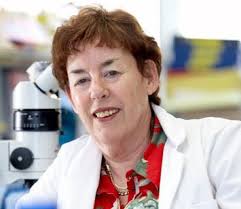 Continuous Discovery