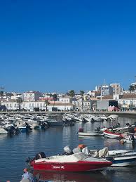 Image result for Faroa duvigneaud