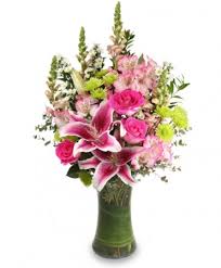 Send sympathy & funeral flowers in new york city, ny today. Starstruck Floral Arrangement In Lancaster Ny Petals To Please
