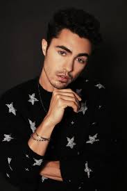 austin butler noah henry