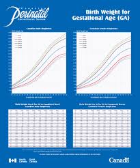 Birth Weight For Gestational Age Canada Ca