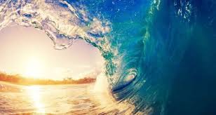 Oceans are the lifeblood of our planet and all the creatures that live here. Criyxosae9x0um