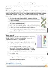 Dna molecules have instructions for building every living organism on earth, from the tiniest bacterium to a massive blue whale. Copy Of Gizmos Building Dna Activity Student Exploration Building Dna Vocabulary Double Helix Dna Enzyme Mutation Nitrogenous Base Nucleoside Course Hero