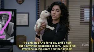 I Ve Only Had Arlo For A Day And A Ha Meme Template And Creator
