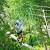 Zip Line Poconos Valley