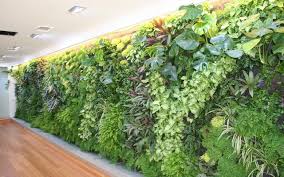 Some are simply walls covered with climbing plants, while others involve a modular system that allows plants to grow inside the structures. Vertical Garden Wall Buy Wall Garden Living Wall Garden Kits