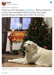 No matter how you celebrate, merry christmas, from champ and major biden, the screen reads, fading. Joe Biden Shares An Adorable Video Of His Dogs Wishing Americans Merry Christmas 271k People On Twitter Love It Laptrinhx