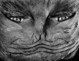 The bizarre alien biology trope as used in popular culture, with a list of examples from all media. Upside Down Portraits That Transform People Into Aliens By Anelia Loubser Fgideas Org