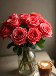 Image result for tbn:ANd9GcQzWo5lBIPWKebvy1oRkgh5c-dE8XiN3VXZR7m1YtZmdakAs_N-Mhco6w:http://www.cqham.ru/flower.gif