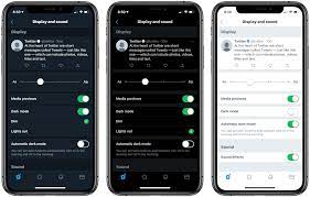 Twitter App Gets A New Oled Black Theme And Automatic Dark Mode View From The Park Twitter App App Check In App