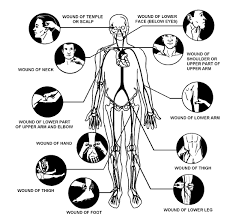 Such as using a forearm block, a hammer fist or a middle knuckle strike. Pressure Point Fighting Reality Based Self Defense You Can Trust Contemporary Fighting Arts