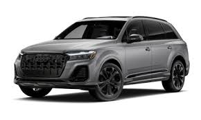 Image result for Samurai Gray 2025 Q7