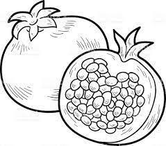 resultat de recherche d images pour grenade a colorier pomegranate art drawing coloring pages coloriage lego elfes guide