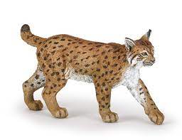 Cannonball ® celebrates 25 years with a special edition 25th anniversary model. Papo Wild Animal Kingdom Papo Lynx 50241