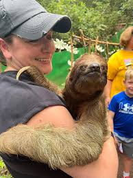 DRINK A BEER” one of my favorite Luke Bryan songs! We had such a fun night  playing Music in the Trails. A backyard concert series hosted by  @GiselleMiller and @AnnaWentz #countrymusic #concert #