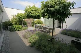 pin van femke roufs op urban gardens tuin moderne tuin hovenieren