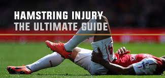 An audit of injuries in professional football: Football Hamstring Injury The Ultimate Guide Playerscout