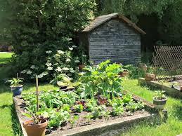 Raised garden beds can be built from stones, cinder blocks. 20 Advantages Of Growing Veg In Raised Beds And 6 Disadvantages