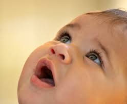 I've always liked taking pics of wasps. (Still careful though ...)