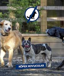 Fabson Fare Kovucu Kus Kovucu Kopek Kovucu Hasere Kovucu