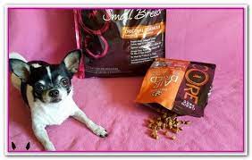 Best Dog Food For Skin Allergies At Petsmart Here S What You Need To Know Grain Free Dog Food Is Made Without Any W Best Dog Food Dog Food Recipes Best Dogs