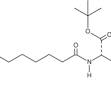 Semaglutide Side Chain (CAS Number: 1118767-16-0) | Cayman ...