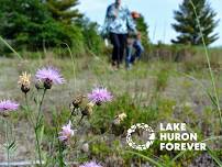 Invasive Species Workday — Huron Pines