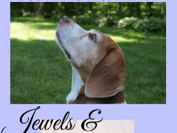 We did not find results for: 125 Beautiful Dog Names Inspired By Jewels And Gemstones Pethelpful