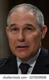 89 Pruitt Royalty-Free Images, Stock Photos & Pictures