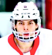 The future is now: Pair of upcoming Wildcat blueliners attend NHL  development camps