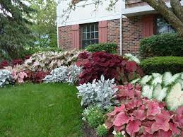 New fall 2021 collection — shop spring hill nursery & save up to 30% on select items. Tip Of The Week Week 15 In The Zone 9 Garden Shade Plants Shadow Plants Shade Perennials