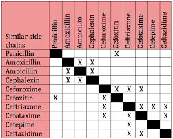 Cross Reactivity Between Cephalosporins And Penicillins A