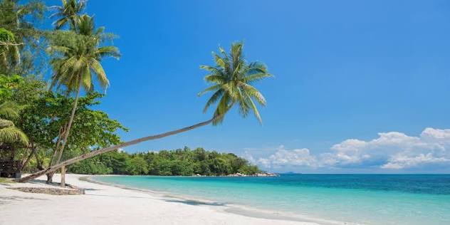 One Day Tour Bintan