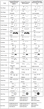 Genetics Genotype Phenotype Pablo Carlos Cscs Biology Biology Lessons Genetics