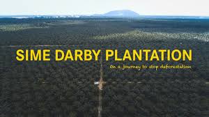 We did not find results for: Sime Darby Plantation On A Journey To Stop Deforestation And Transforming The Industry Youtube
