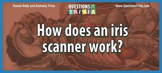 Or which flower is a symbol of humility? Question How Does An Iris Scanner Work
