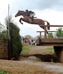 Flying Eventing Horses Beautiful Horses Horses