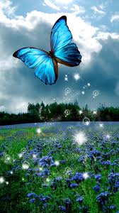 We did not find results for: Phone Butterfly Wallpapers Wallpaper Cave