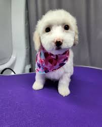 Sarah Doolittle, E 4th St, Santa Ana, CA