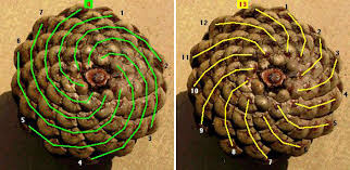 The fibonacci series is a mathematical sequence of numbers that happen to represent wide number of. Fabulous Fibonacci