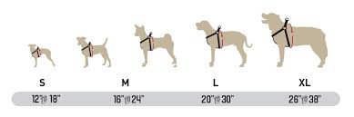 Wolfgang Harness Sizing Wolfgang Man Beast