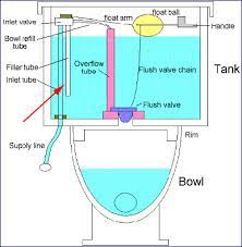 Check spelling or type a new query. What Could Be Causing The Filler Tube Of A Toilet To Be Leaking Bubbling Home Improvement Stack Exchange