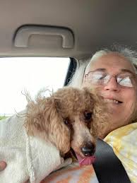 Meet the newest addition to the car crew. Isn't he bat-tiful?