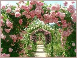 All Things Shabby And Beautiful Garten Ideen Garten Schone Rose
