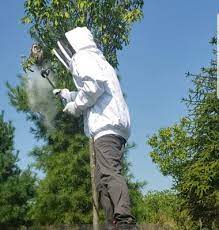 County pest control is an exterminator that specializes in the extermination of all your pest. County Pest Control 4984 Mill Rd Emmaus Pa Pest Control Mapquest