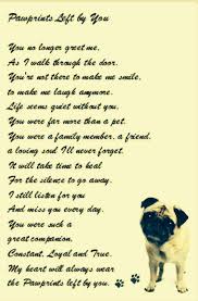 Check spelling or type a new query. Rest In Peace Quotes For Pets Compare Lifetime Pet Insurance Quotes Compare The Market Dogtrainingobedienceschool Com