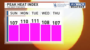Image result for Heat Index