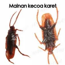 Check spelling or type a new query. Jepitan Rambut Serangga Shopee Indonesia