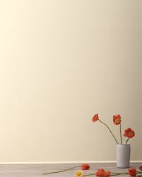 Image result for Beige 1996 CIL